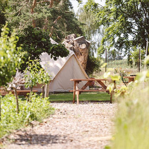 A distanced view of a ball tent, nestled amongst trees and wooden benches in a garden 